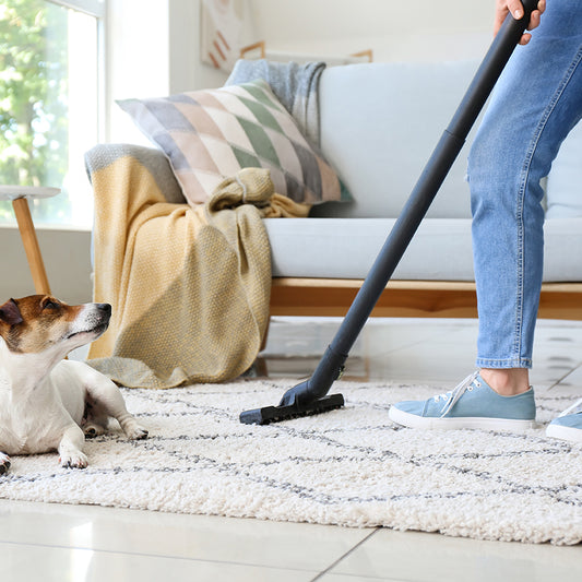 Say Goodbye To Pet Hair!
