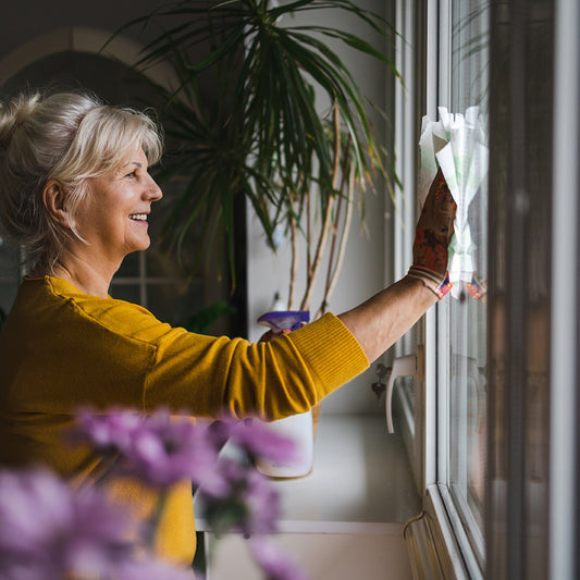 Brightening Your Day: The Joy of Cleaning Windows