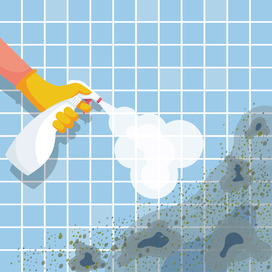 How to Remove and Prevent Mould Creeping into Your Home!