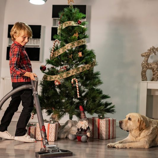 Things to Clean Before Christmas!