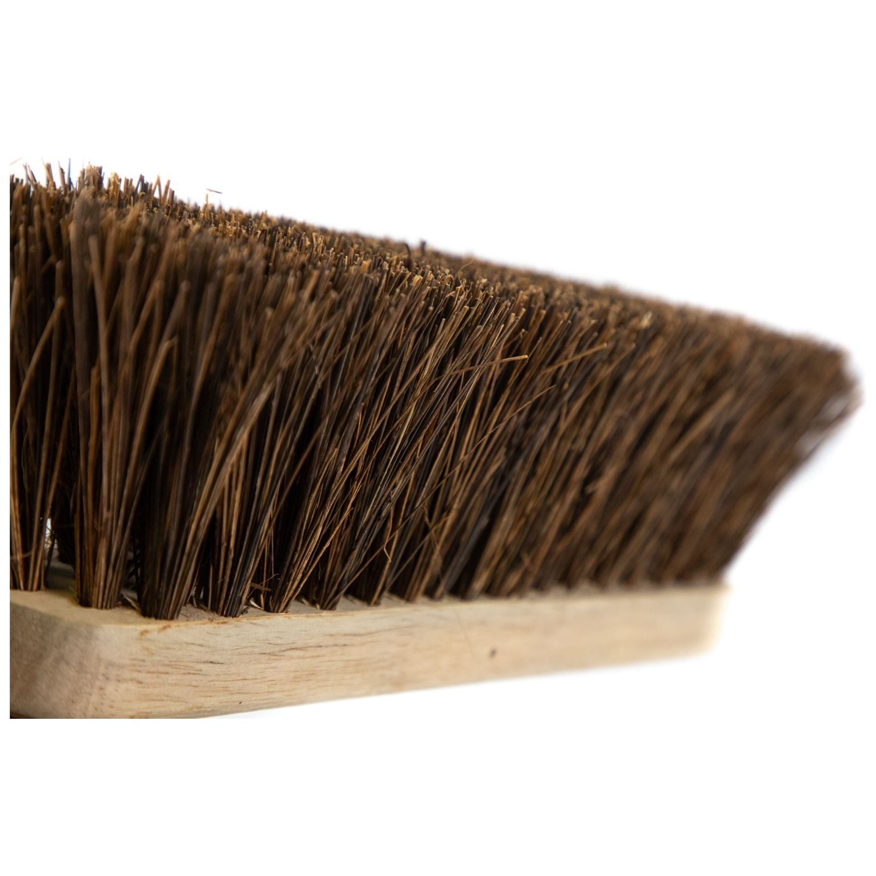 Close up on the Natural Stiff Bassine Bristles - Stiff and durable