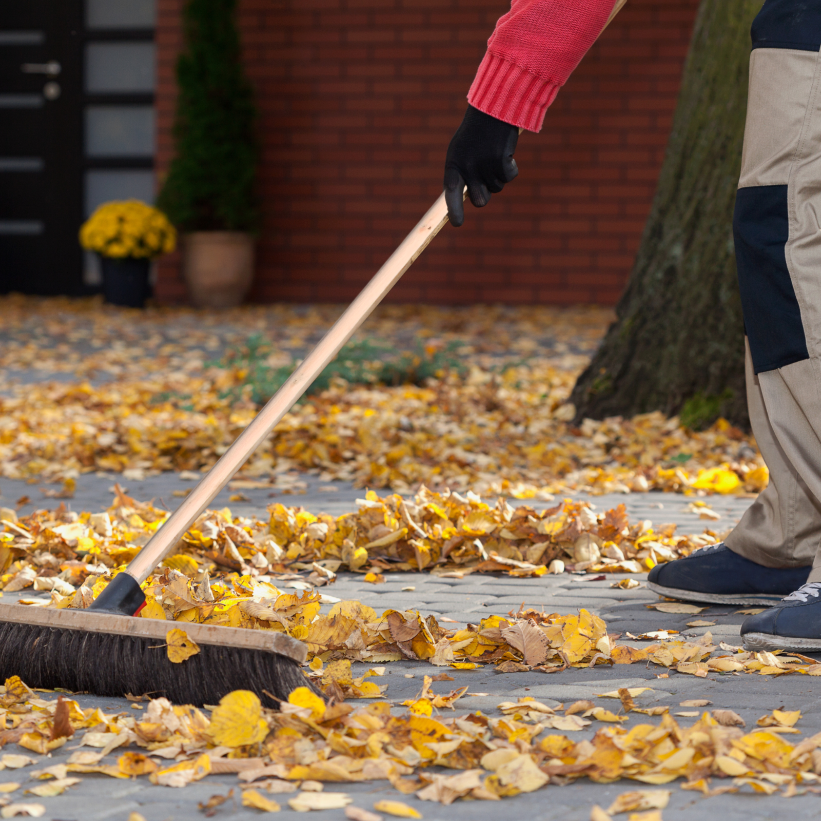 Environmental image of person using a broom with a new broom handle to collect autumn leaves on a sidewalk.