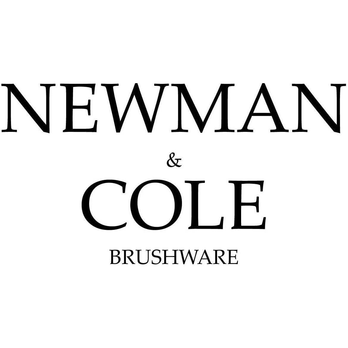 10" Newman and Cole Natural Soft Coco Broom Head with Plastic Socket - The Dustpan and Brush Store