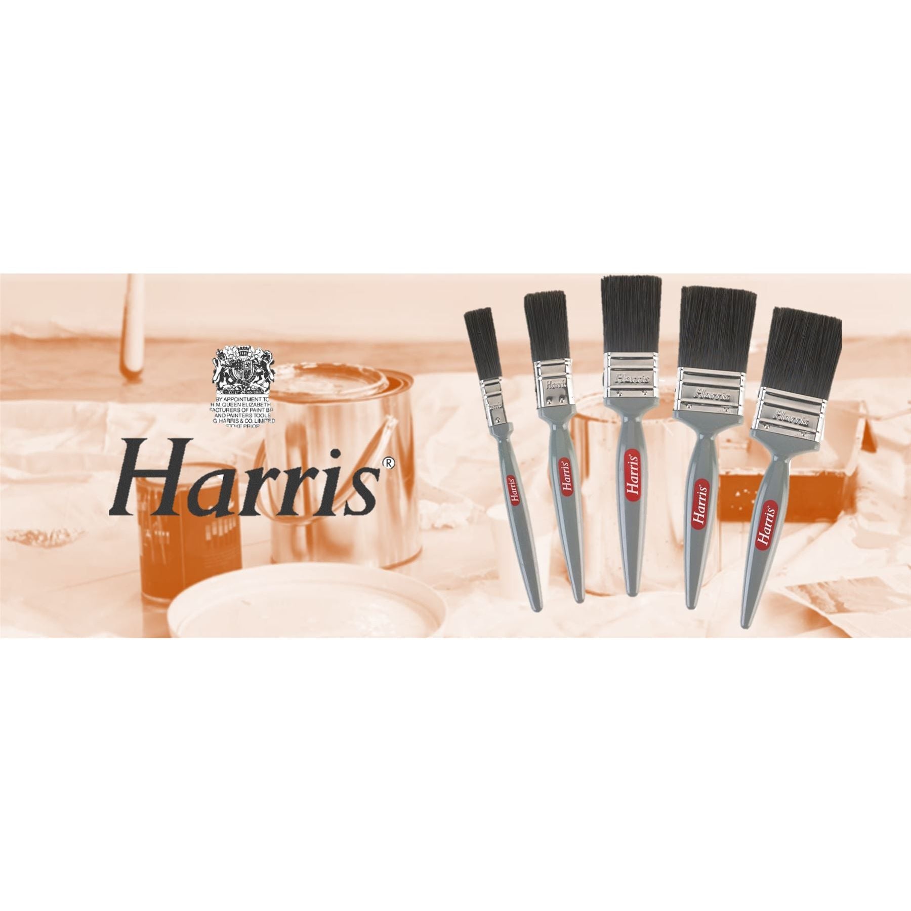 Harris 5 Piece Gloss Paint Brush Set for Oil-Based Paint - The Dustpan and Brush Store