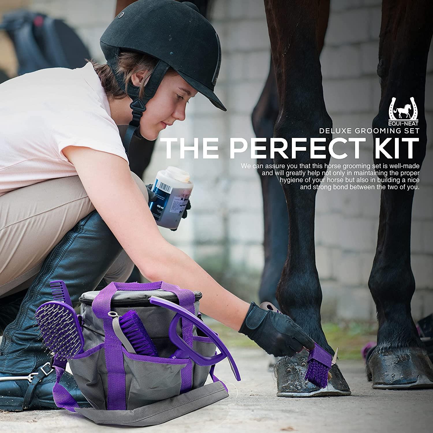Equi-Neat 12 piece Equestrian Horse Grooming Kit Set