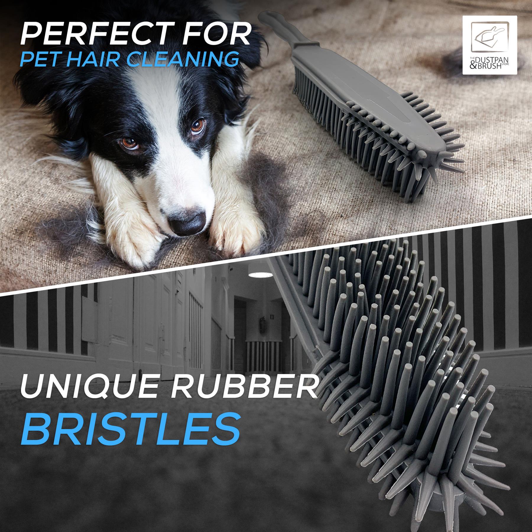 Dog with pet hair and grooming brush, highlighting unique rubber bristles for cleaning.