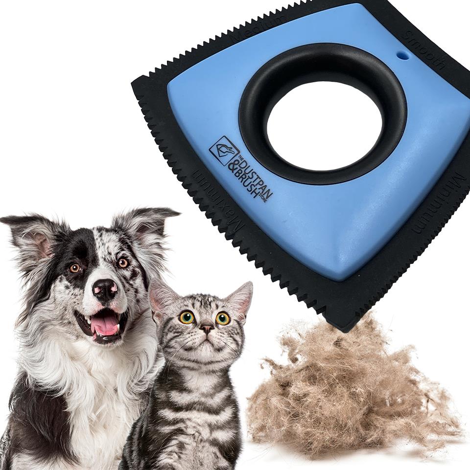 Square Pet Hair Removal Tool