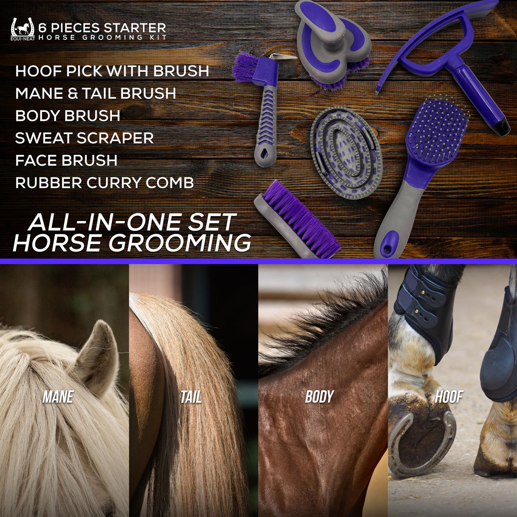 Equi-Neat Starter 6 Piece Horse Grooming Kit