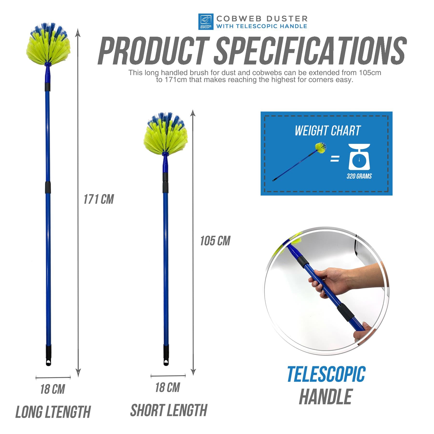 Domed Cobweb Brush with Telescopic Handle