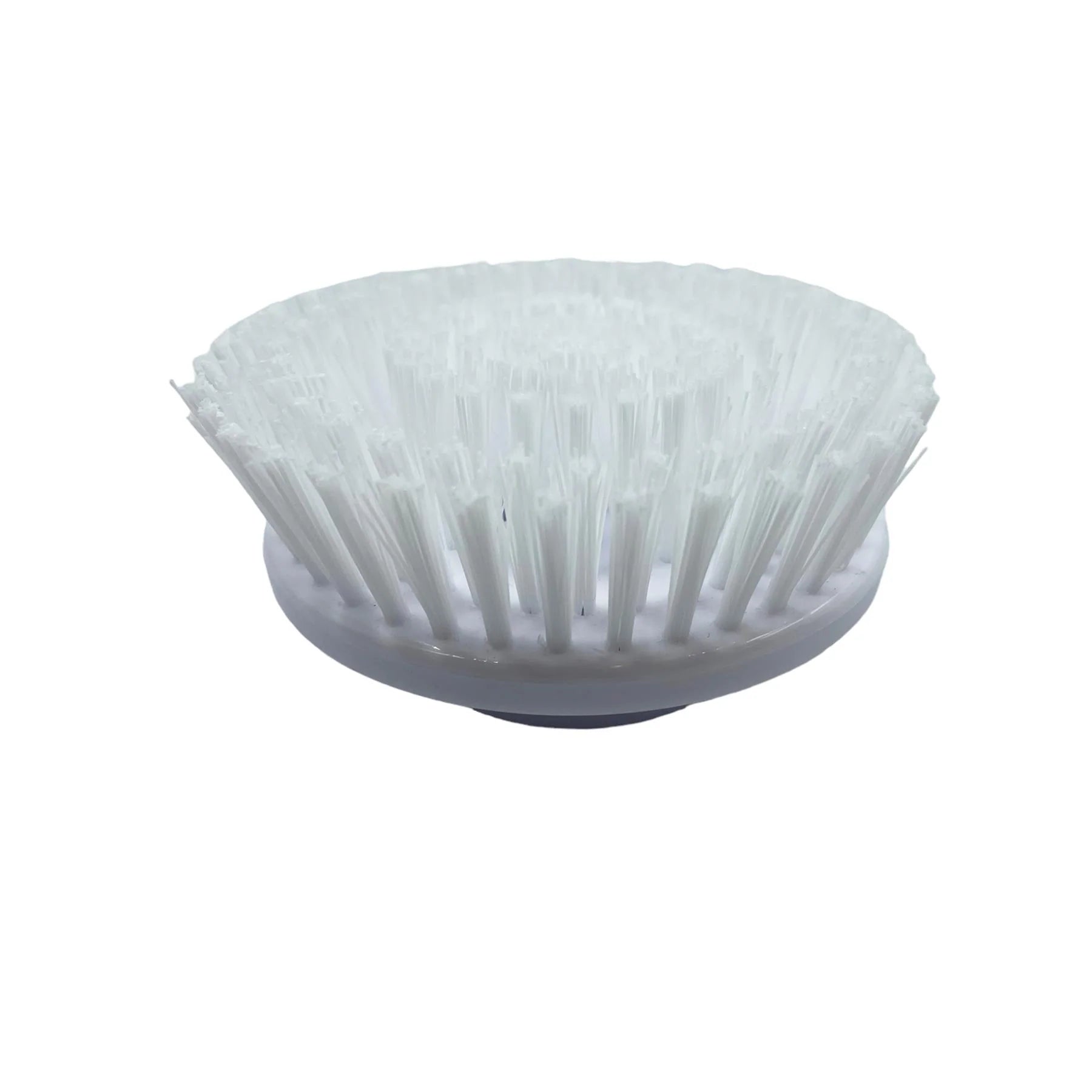 Large brush head replacement for scrub master on a white background 