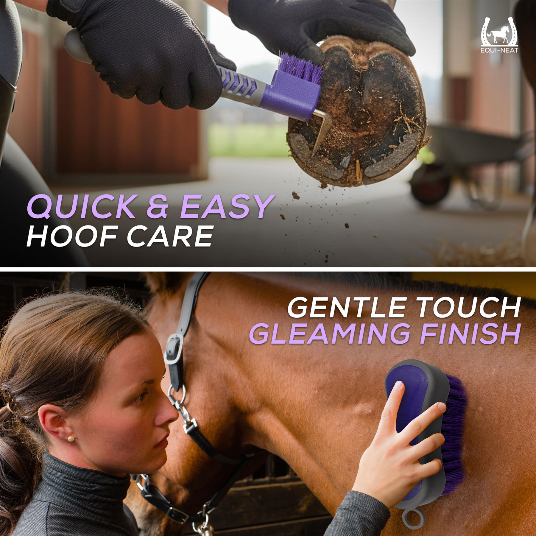 Equi-Neat Starter 6 Piece Horse Grooming Kit