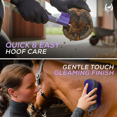 Equi-Neat Starter 6 Piece Horse Grooming Kit