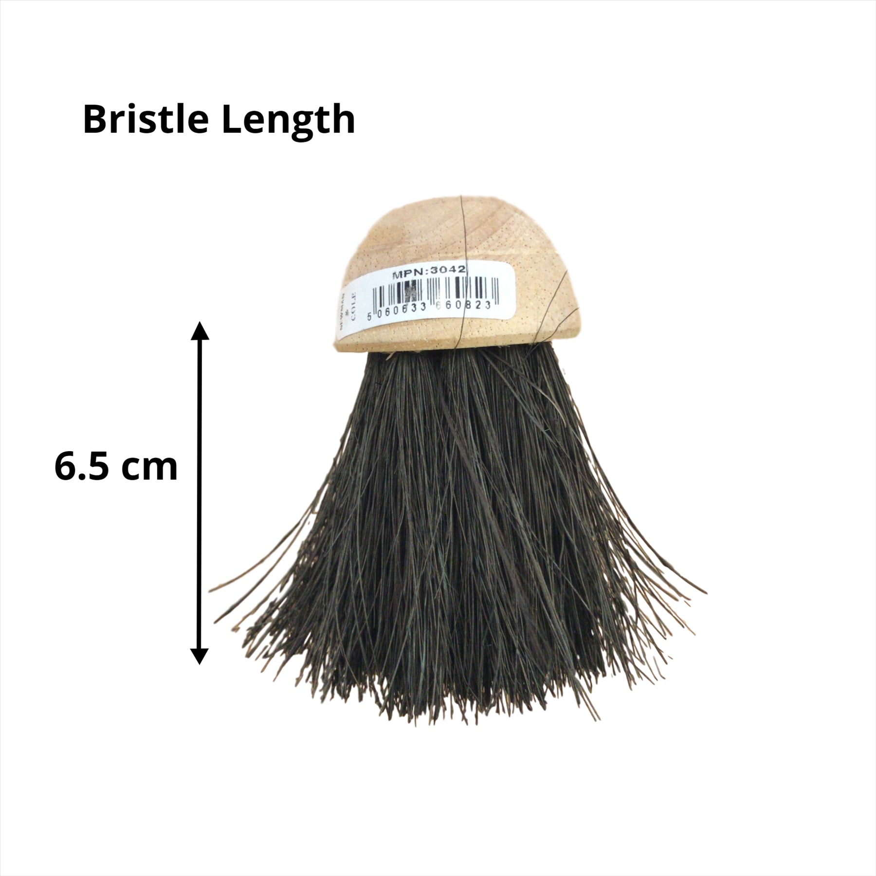 Newman and Cole Round Companion Brush Head - Pack of 2