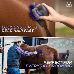 Equi-Neat Starter 6 Piece Horse Grooming Kit