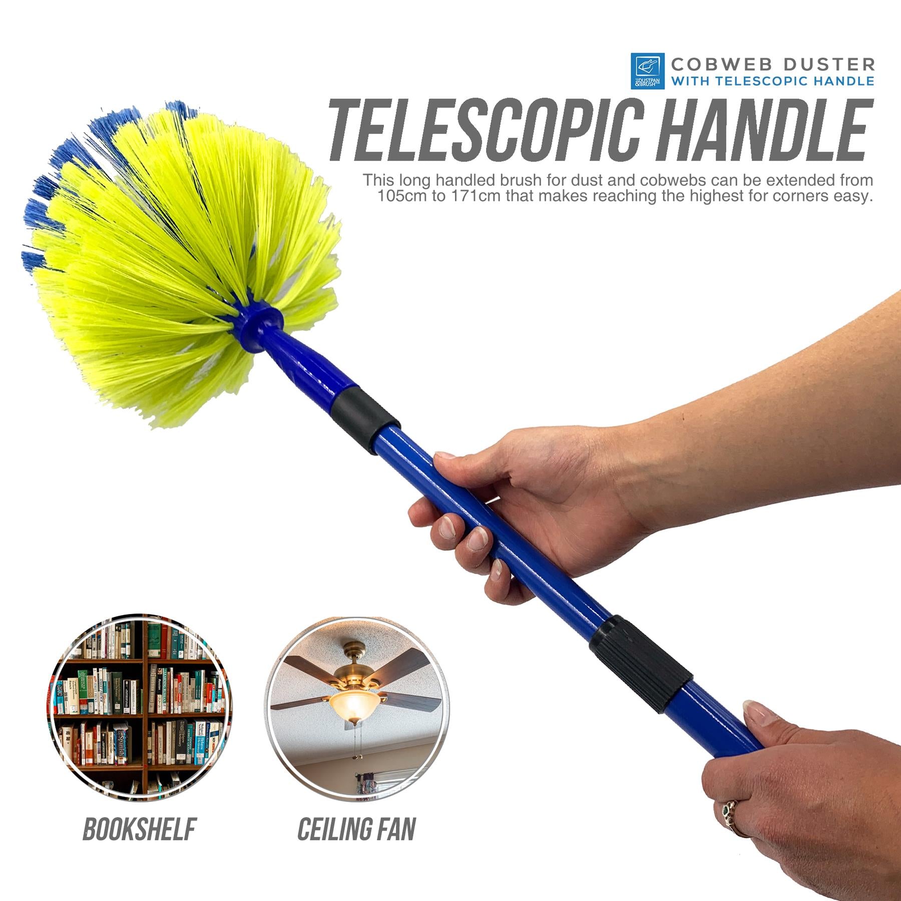 Domed Cobweb Brush with Telescopic Handle